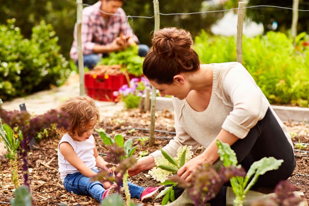 These Tips Can Help Your Organic Garden Thrive!