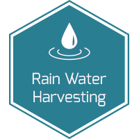 rainwater